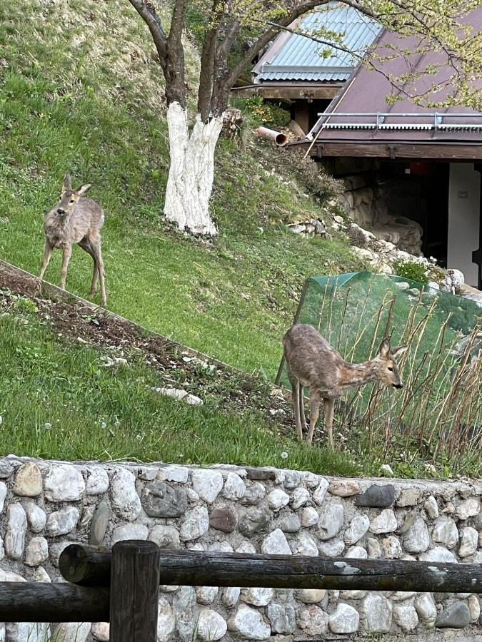 Appartamento In Montagna Venas Ngoại thất bức ảnh